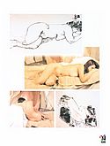 scan_Y4_body1_039.jpg