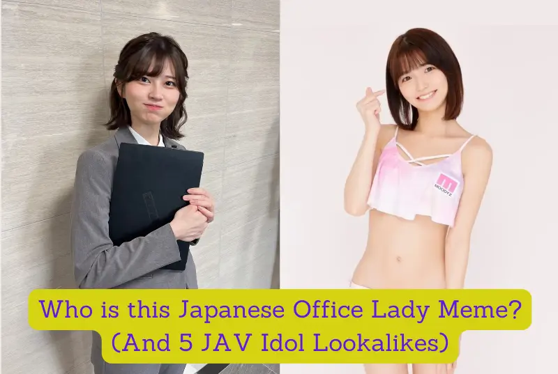 Who is this Japanese Office Lady Meme? (And 5 JAV Idol Lookalikes)