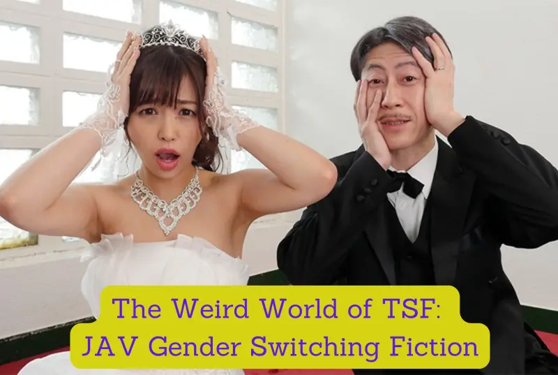 The Weird World of TSF: Gender Switching Fiction in JAV