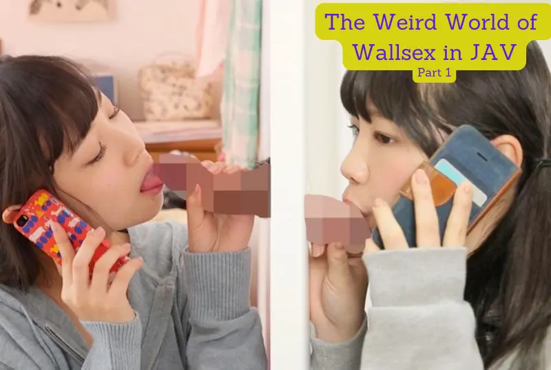 The Weird World of Wallsex in JAV Part 1